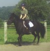 2003