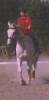 2003