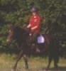 2003
