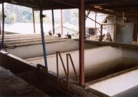 coffee fermenting tanks